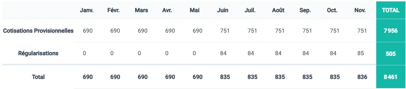 Cotisations CARPIMKO de Sophie pour 2024